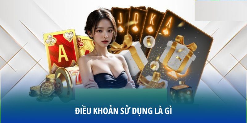 dieu-khoan-su-dung-vivu88-la-gi