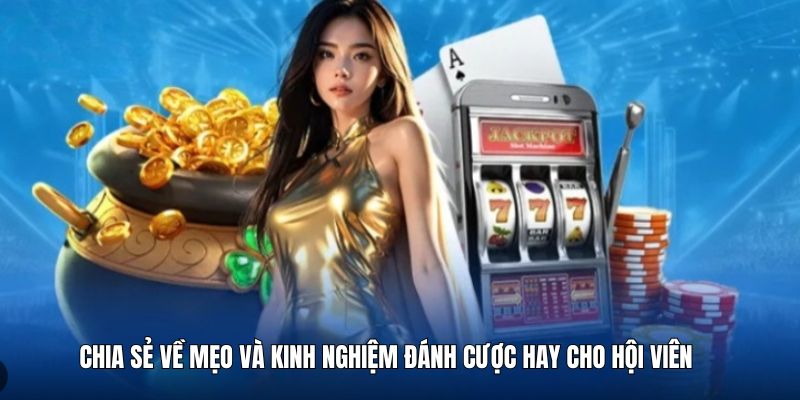 meo-hay-va-kinh-nghiem-dat cuoc-hay