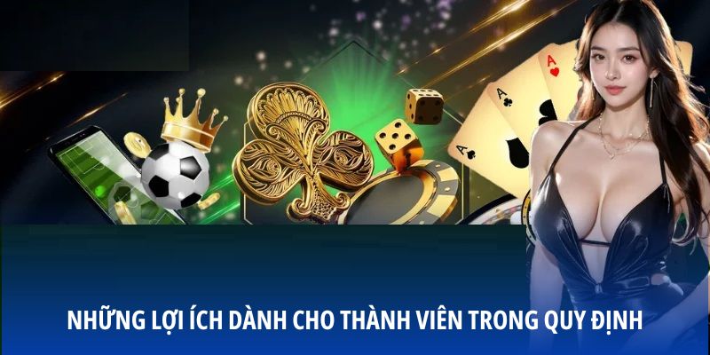 nhung-loi-ich-danh-cho-thanh-vien-trong-quy-dinh-vivu88