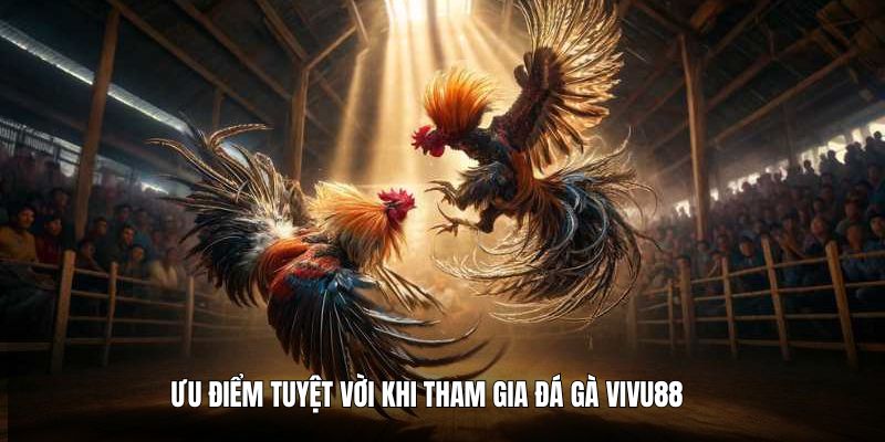 uu-diem-tuyet-voi-khi-tham-gia-da-ga-vivu88