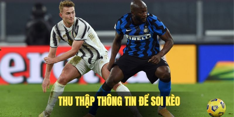 meo-choi-thu-thap-thong-tin-doi-tuyen-de-chon-cua-cuoc