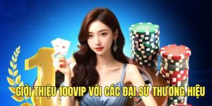 gioi-thieu-100vip-dai-su