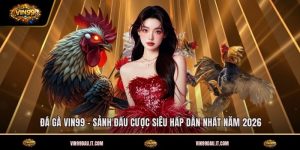 da-ga-vin99-sanh-dau-cuoc-sieu-hap-dan-nhat-nam-2026